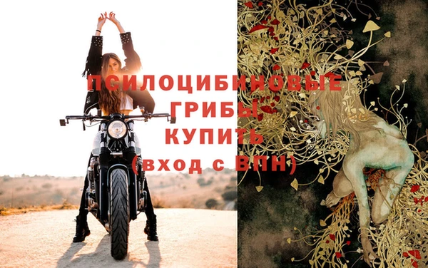прущий лед Протвино